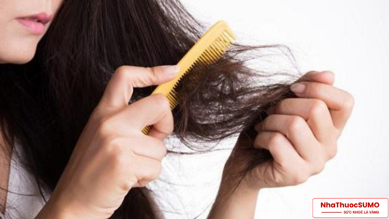 Bổ sung vitamin E cho người bị thiếu hụt giúp giảm rụng tóc đáng kể