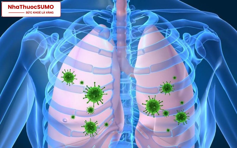 Thuốc Bifucil 500mg có thể điều trị các bệnh do vi khuẩn gây ra như vi khuẩn ở phổi