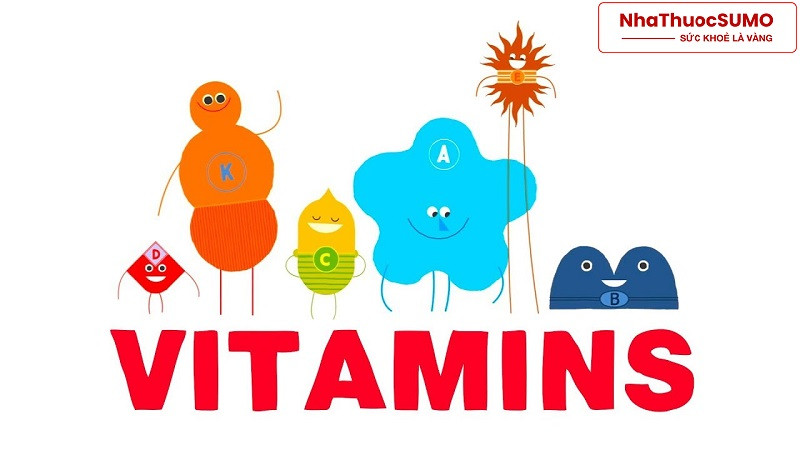 Vitamin là những chất cần thiết đóng vai trò phát triển cơ thể khỏe mạnh, phòng chống bệnh tật