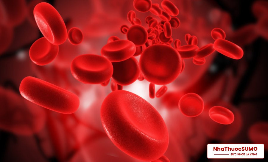 Bị rối loạn lipid máu cũng có thể sử dụng thuốc