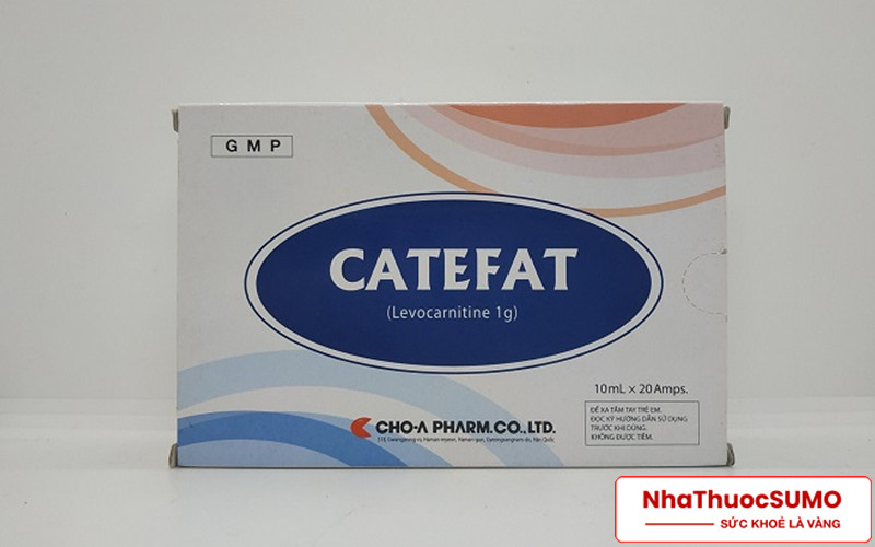 Catefat là thuốc được dùng để điều trị các bệnh về tim mạch