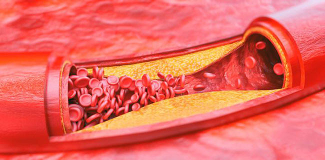 Vitamin E giúp cân bằng lượng cholesterol có trong máu