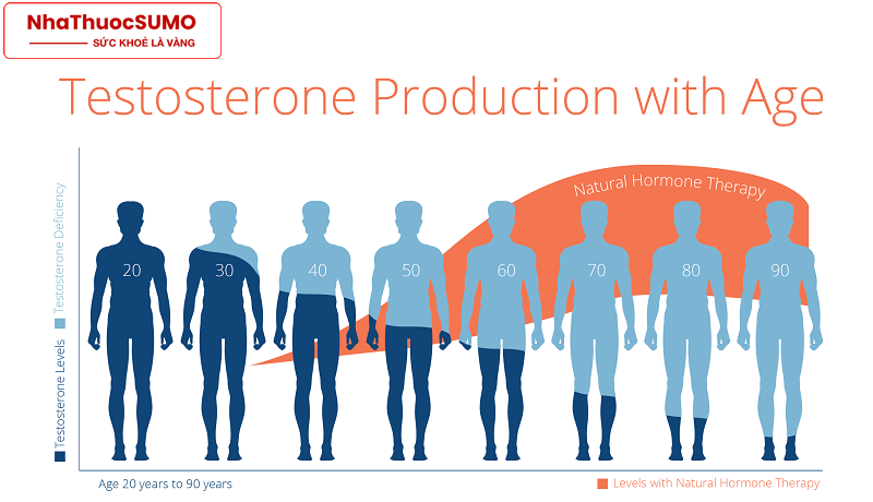 Biểu đồ thể hiện sự suy giảm Testosterone theo độ tuổi của đàn ông