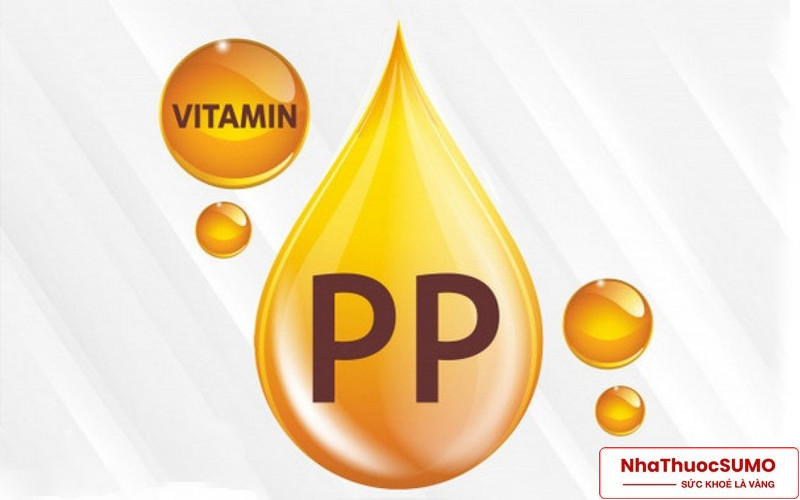 Vitamin PP rất quan trọng với cơ thể