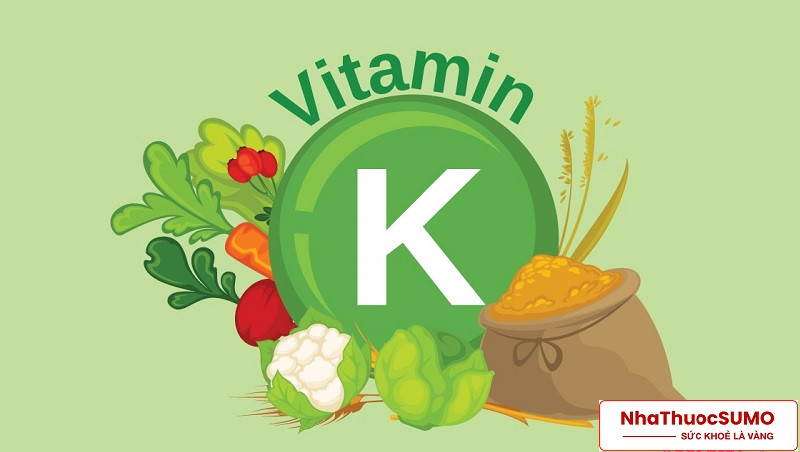 Vitamin E giúp cơ thể hấp thu vitamin K tốt hơn, từ đó đem lại nguồn dinh dưỡng dồi dào cho cơ thể
