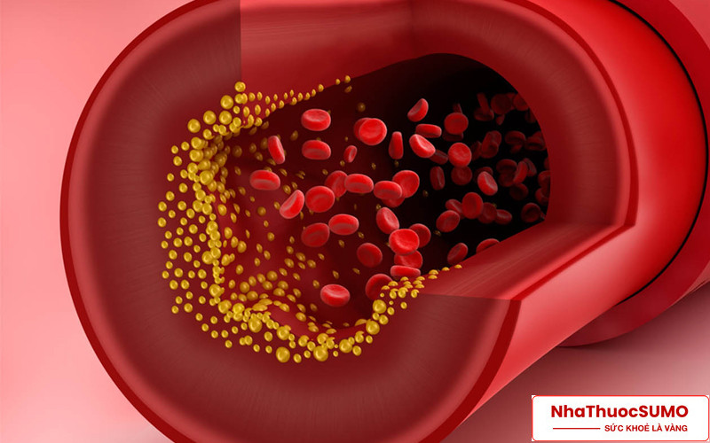 Hàm lượng cholesterone trong máu sẽ được giảm khi sử dụng thuốc Crestor