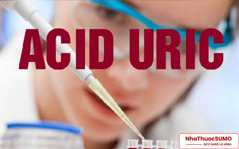 Công dụng nổi bật nhất của sản phẩm là kiểm soát lượng acid uric có trong máu