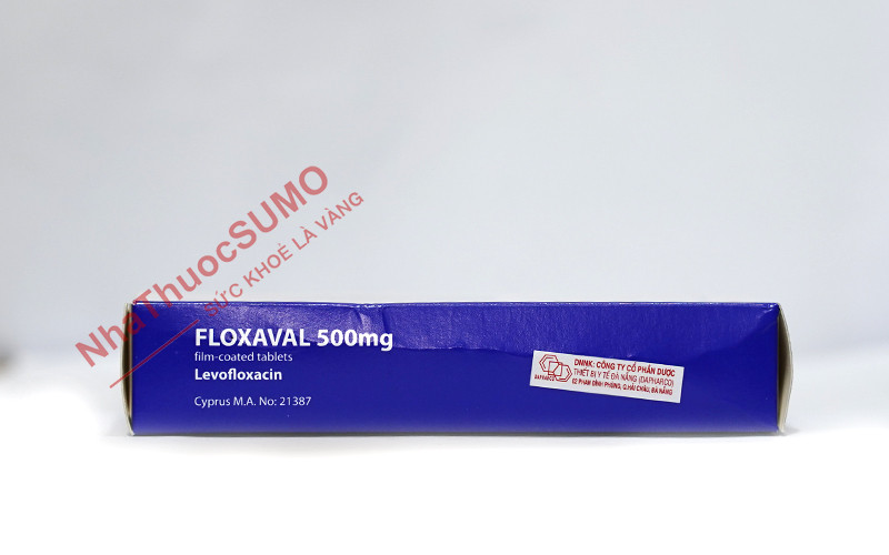 Floxaval chỉ có 1 thành phần hoạt chất chủ yếu với hàm lượng 500mg