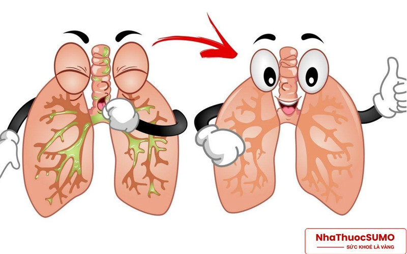Boni Detox đóng vai trò chính là giúp thanh lọc phổi