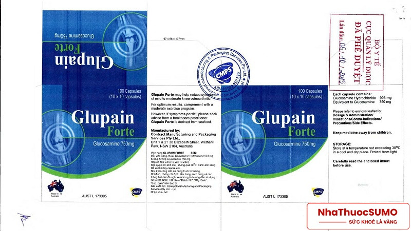 Thuốc Glupain forte đã được Cục quản lý dược của Bộ Y tế phê duyệt cấp phép sử dụng