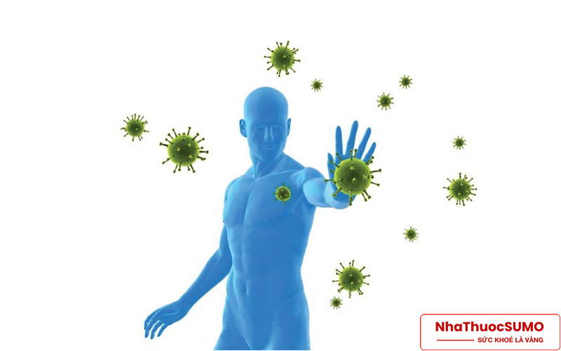 Thuốc Immu 500 cung cấp các chất cẩn thiết để tăng hệ miễn dịch