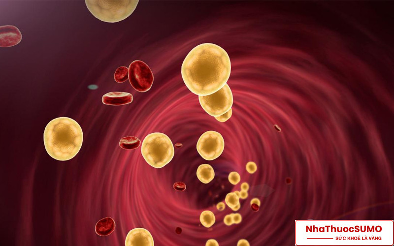 Lipoprotein trong máu cao thứ phát sẽ được hỗ trợ điều trị sau khi sử dụng Lipanthyl