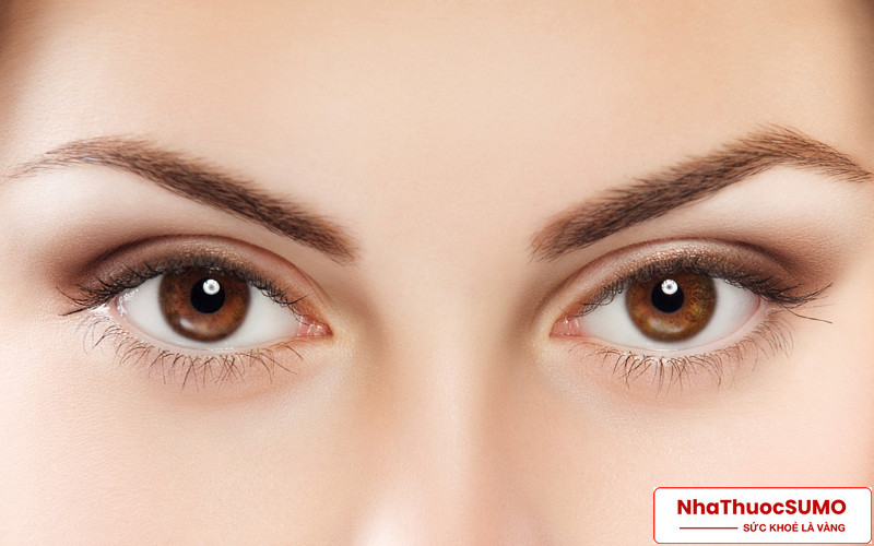 Medi Usa Eye Health cung cấp đầy đủ chất dinh dưỡng cần thiết để sáng mắt