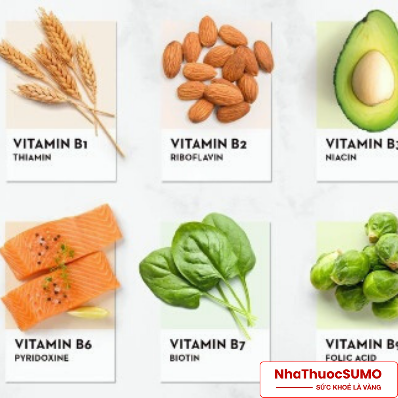 Vitamin B12 có trong trái cây nào