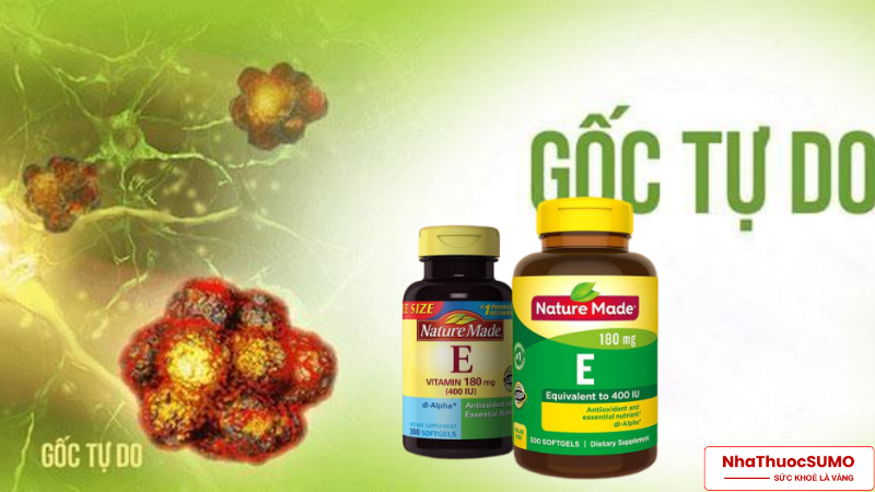 Vitamin E giúp đánh bại các gốc tự do sinh ra bệnh tật trong cơ thể