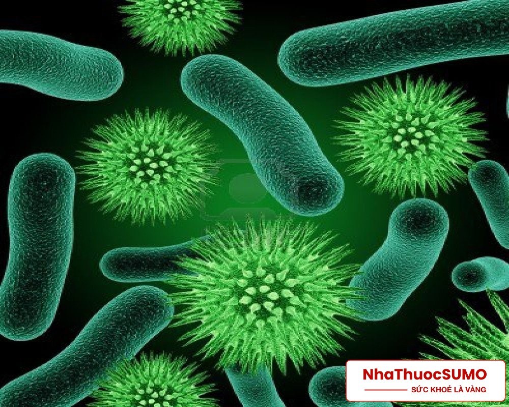 Ngăn ngừa các loại vi khuẩn cũng là công dụng của Nirdicin 500mg