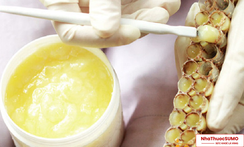 Sữa ong chúa là một trong những thực phẩm bổ sung nhiều dưỡng chất có trong tự nhiên
