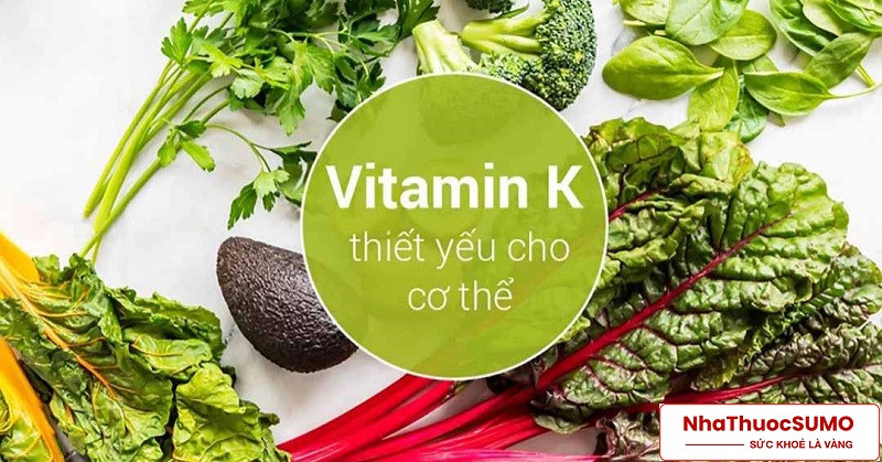 Vitamin K là một trong những loại vitamin quan trọng nhất của cơ thể
