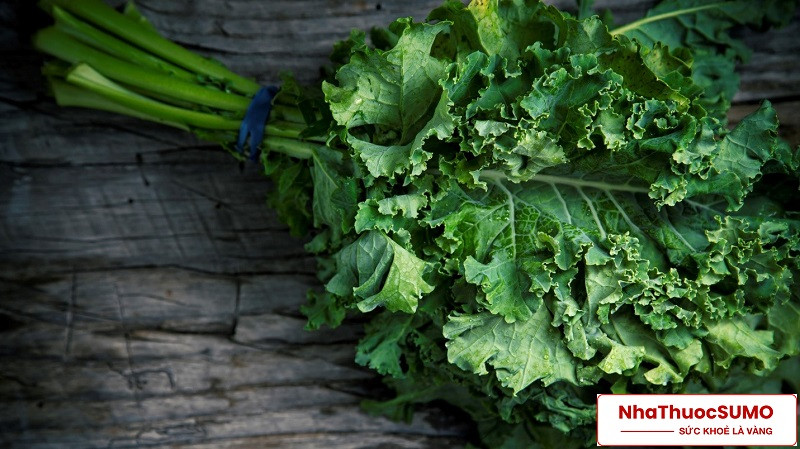 Rau cải xoăn, xanh thẫm có rất nhiều công dụng trong đó cung cấp vitamin D, canxi khá nhiều