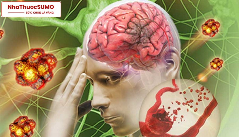 Thuốc berlitos giúp tăng cường lưu thông máu não, giảm thiểu các bệnh do thiếu máu não gây ra