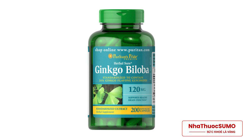 Thuốc bổ não Ginkgo Biloba rất phù hợp cho người già