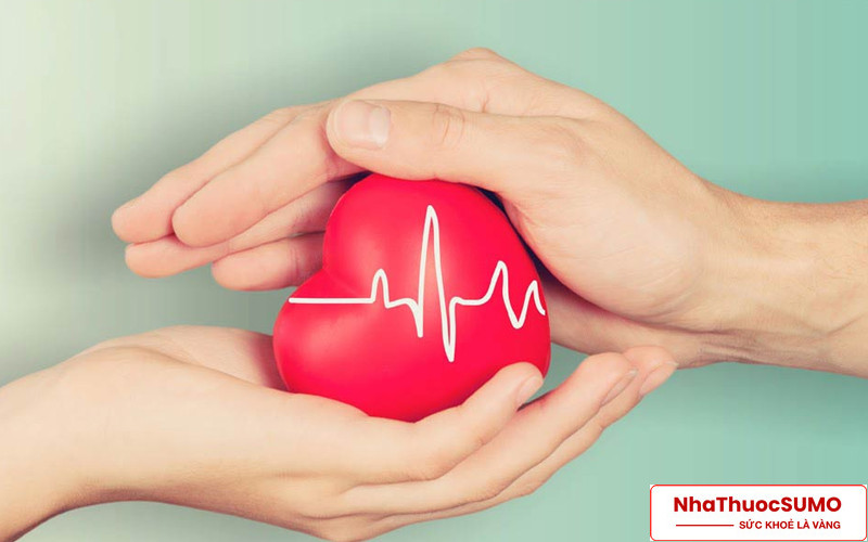 Cholesterol Organika sẽ giúp bảo vệ trái tim khoẻ mạnh