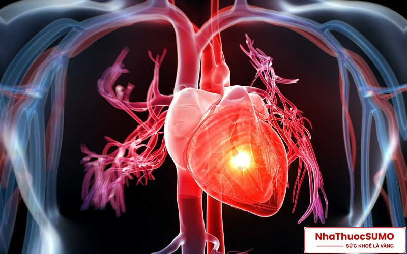 Giảm nguy cơ bị biến cố tim mạch là công dụng nổi bật, quan trọng của sản phẩm