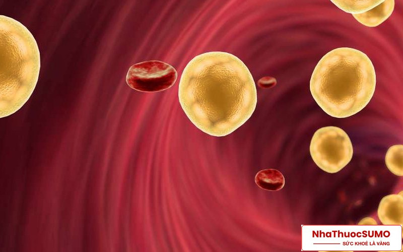 Với các bệnh nhân bị tăng lipoprotein máu thứ phát cũng có thể sử dụng thuốc Lipanthyl