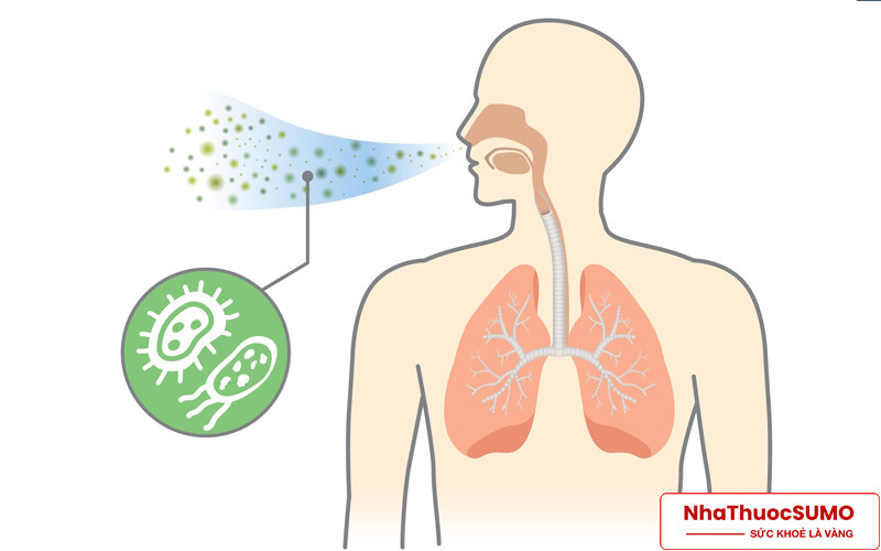 Nếu mắc bệnh liên quan đến đường hô hấp dưới thì sử dụng Zinnat sẽ mau hồi phục