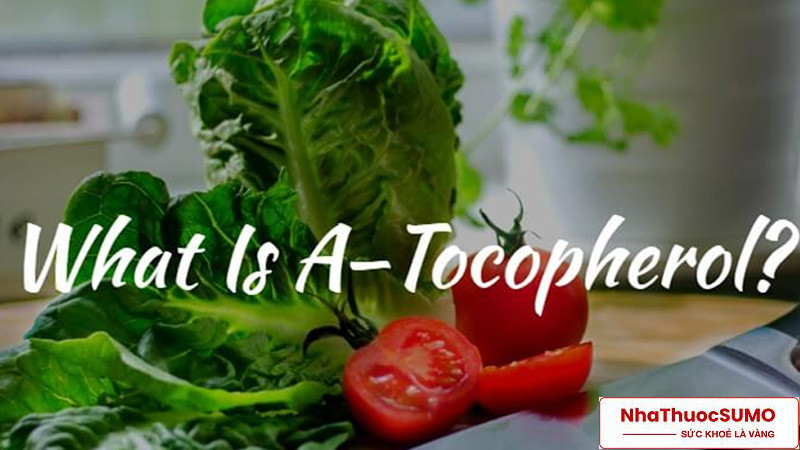 Alpha Tocopherol đơn giản là một loại sản phẩm thuộc dạng Vitamin E