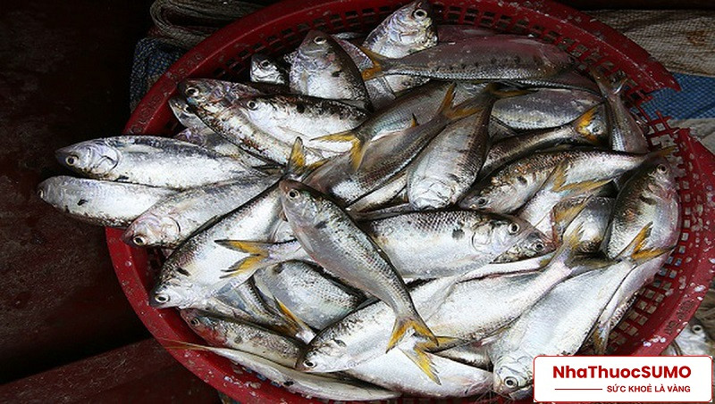 150 gam cá mòi cung cấp khoảng 554% vitamin B12 giá trị ăn hàng ngày
